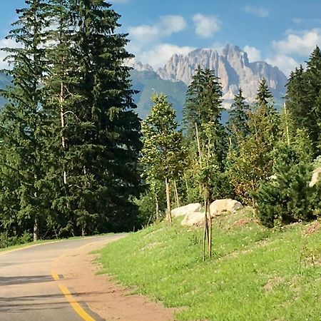 Garni Villa Elsa Pozza di Fassa Εξωτερικό φωτογραφία